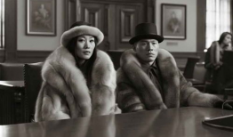 黑狐电视剧免费观看,揭秘神秘特工传奇，免费观看尽享谍战风云