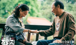 我爱你电视剧,跨越时空的浪漫传奇